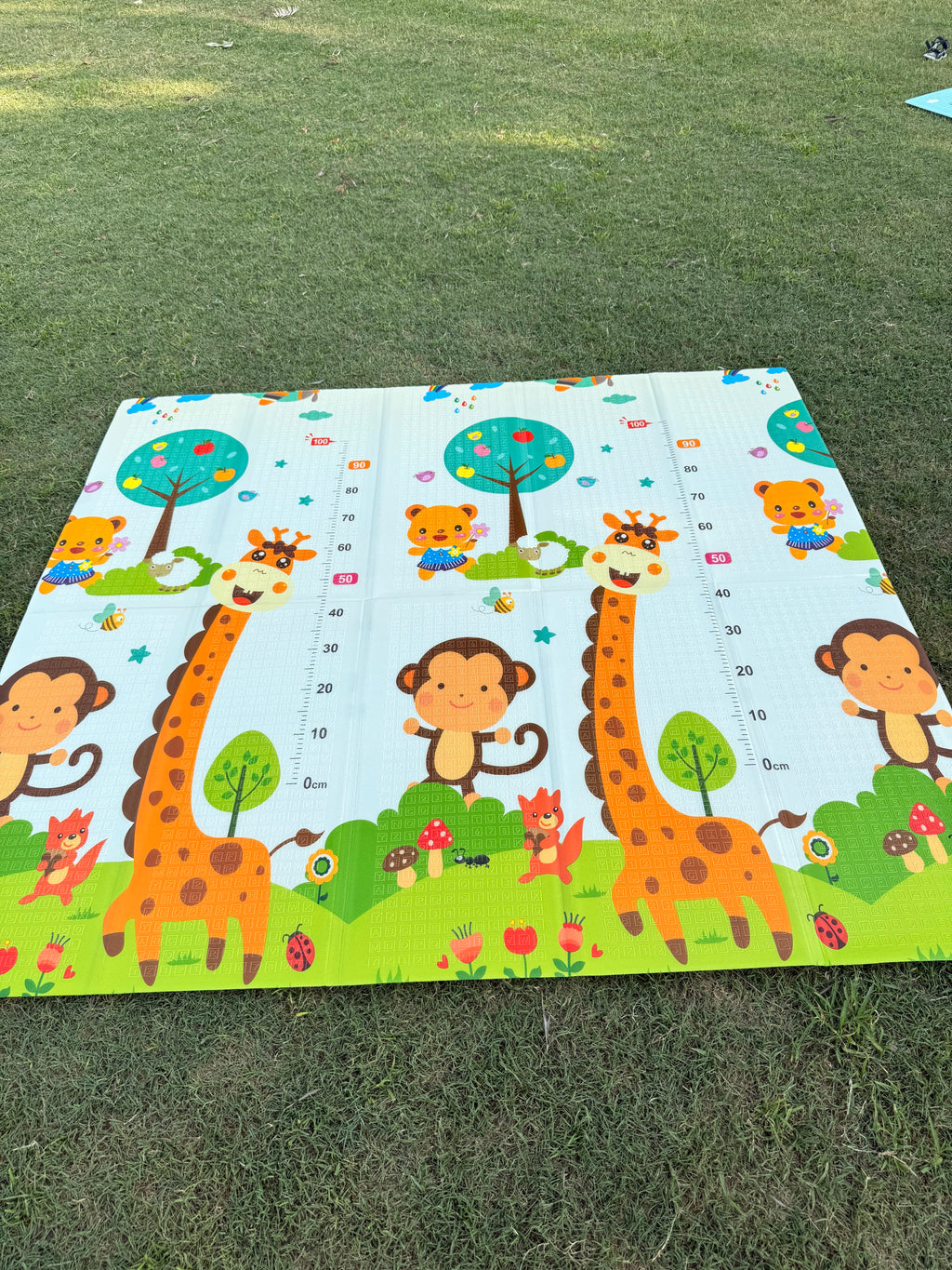 Extra Large Foldable Play Mat (6 x 6.5 ft) | Double-Sided Car Track & Giraffe Adventure