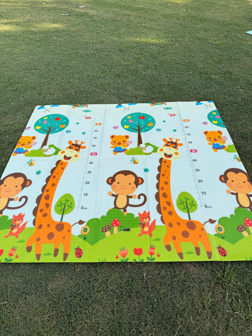Extra Large Foldable Play Mat (6 x 6.5 ft) | Double-Sided Car Track & Giraffe Adventure